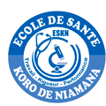 École de Santé Koro de Niamana